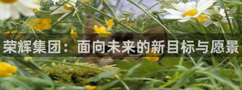 豪门国际下载链接是多少：荣辉集团：面