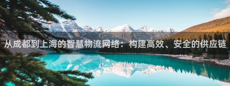 豪门国际龙虎
