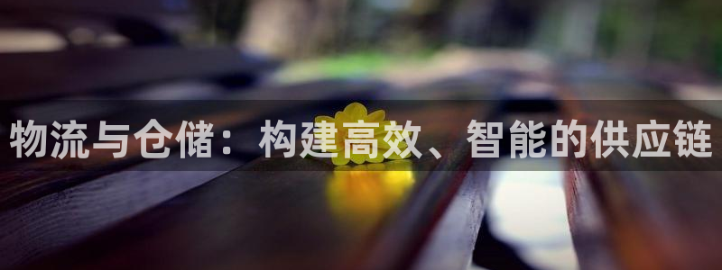 豪门国际稳吗：物流与仓储：构建高效、