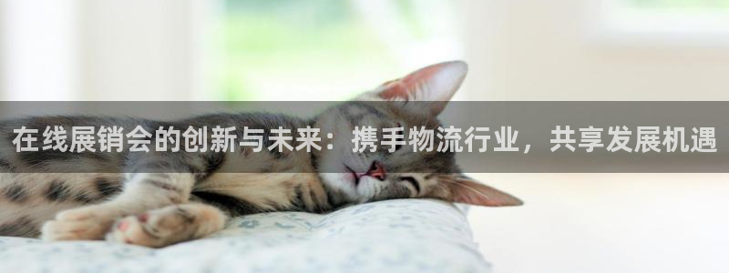 豪门国际官网下载