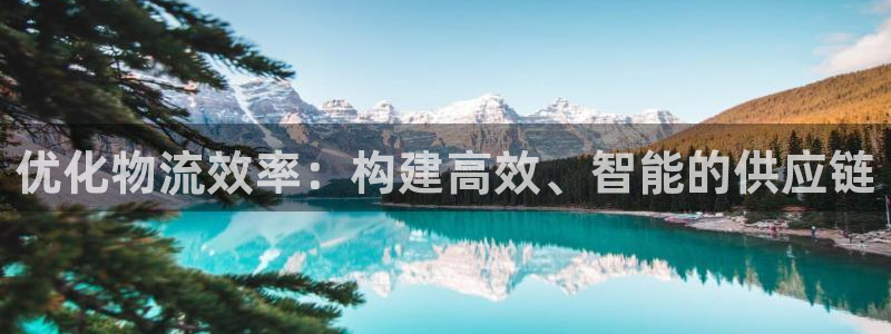 豪门国际模拟器在线使用：优化物流效率