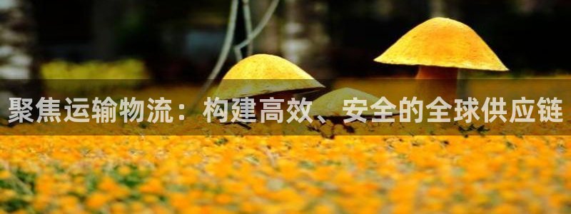 豪门国际app官网少林足球