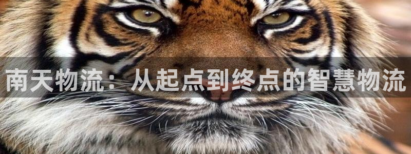 豪门国际登录网：南天物流：从起点到终