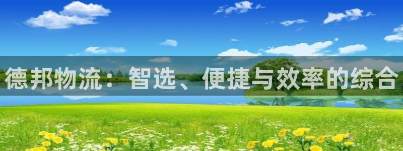 豪门国际软件：德邦物流：智选、便捷与