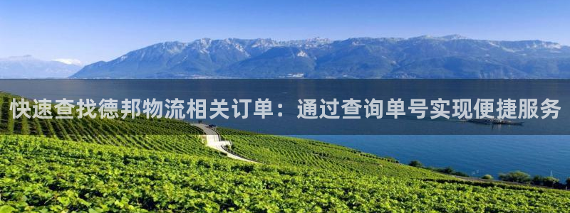 豪门国际在线预测：快速查找德邦物流相