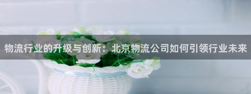 豪门国际链官网：物流行业的升级与创新