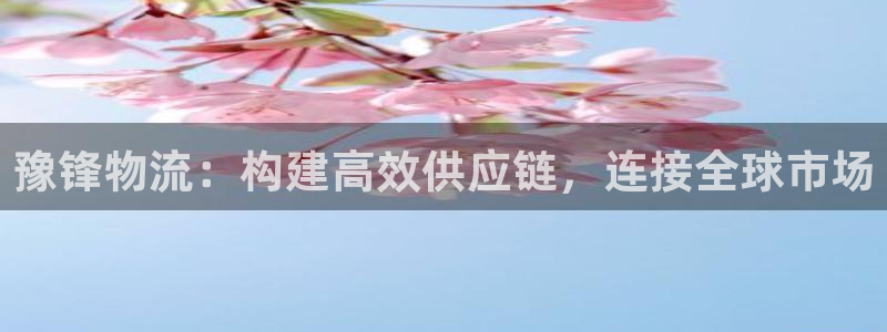 豪门国际赌博被抓:豫锋物流:构建高效