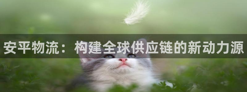豪门国际加拿大能提现吗：安平物流：构