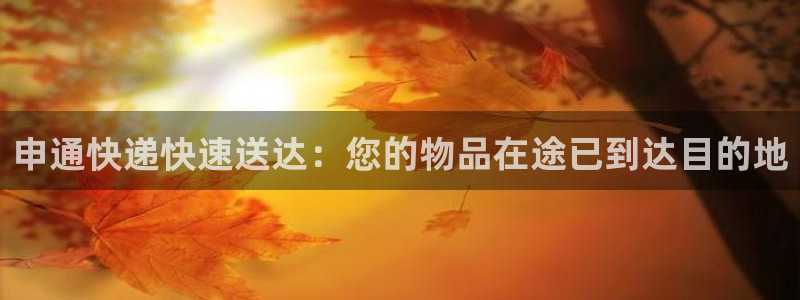 豪门国际官方版网站:申通快递快速送达