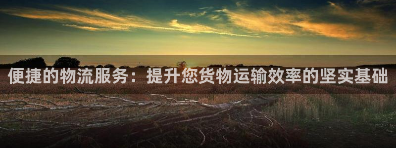豪门国际违法吗：便捷的物流服务：提升