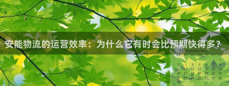 豪门国际人头费：安能物流的运营效率：
