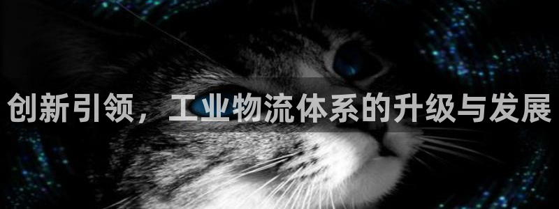 豪门国际登录不上咋回事：创新引领，工