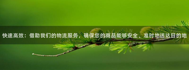 豪门国际是南宫旗下的吗