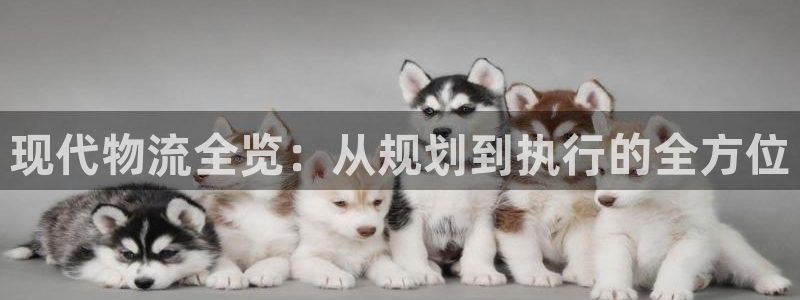 豪门国际加拿大开奖