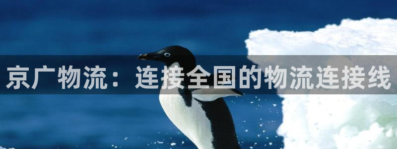 豪门国际注册问一问:京广物流:连接全