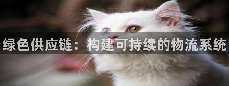 豪门国际链官网:绿色供应链:构建可持