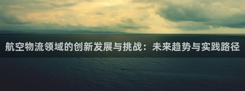 豪门国际注册地址:航空物流领域的创新