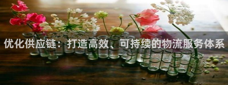 豪门国际人头费:优化供应链:打造高效