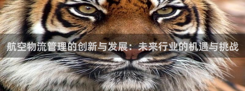 豪门国际p扣款什么意思:航空物流管理