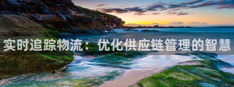 豪门国际能赢钱吗:实时追踪物流:优化