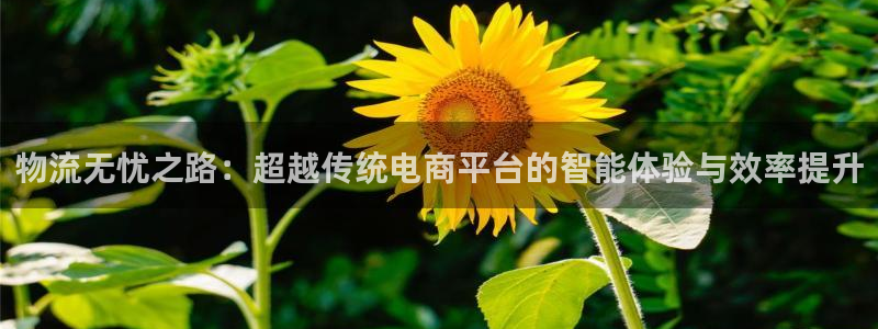 豪门国际技巧:物流无忧之路:超越传统